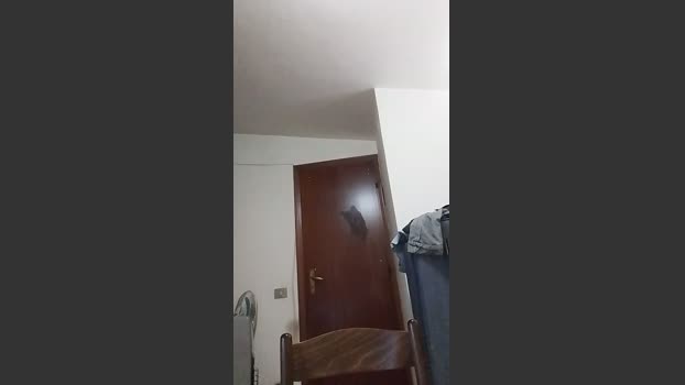 casertaxxx skinny Webcam SHOW @ Cam4 15-04-2026