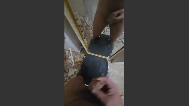 fonzieperver nude Webcam SHOW @ Cam4 15-04-2026