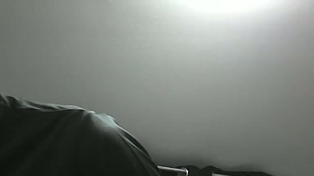 la_biscotte_du1 harddick Webcam SHOW @ Cam4 14-04-2026