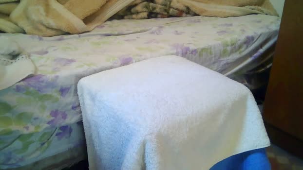 raul4396624 Nude Webcam SHOW @ Cam4 14-04-2026