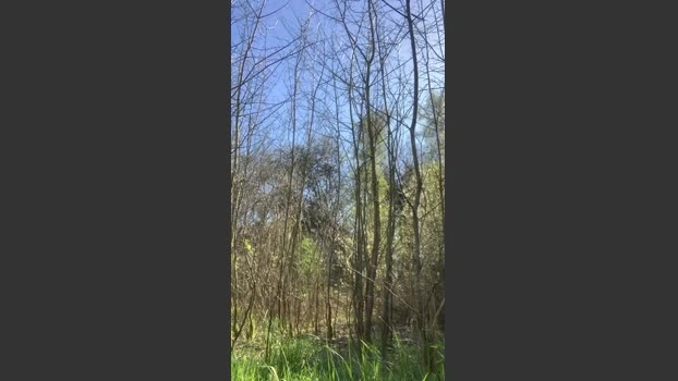 Naturgeil420 22-04-2026 Male Cap jackoff ass show natural