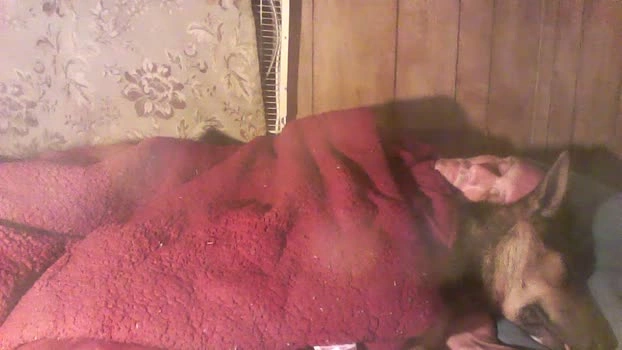 thighwalker 22-04-2026 Male Cap beauty fuckface sexykitty Cam