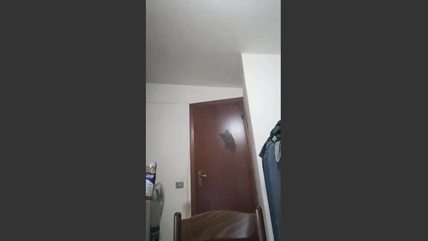 casertaxxx 27-04-2026 Male Cap horny deepthroat hardcock fuckface