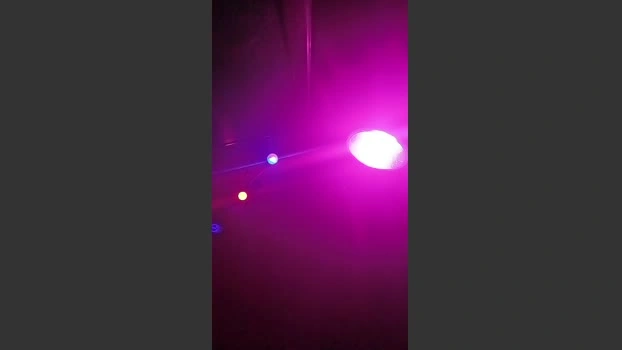 franciscopo_xxx