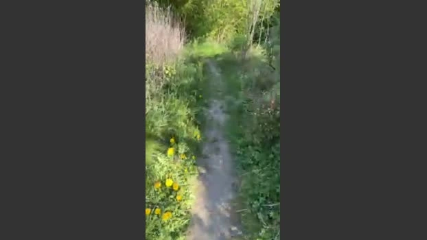 Justfunfranko 30-04-2026 Male Cap fuckface legs Cam Recorded