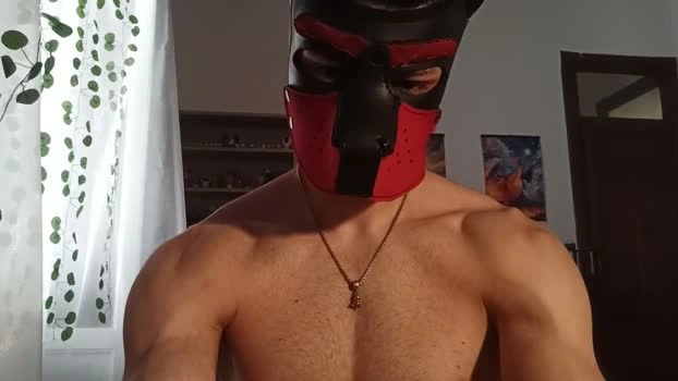 Frabroker 15-05-2026 Male Cap lovense naked fuckhard skinny