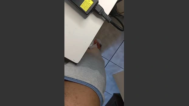Pintudomacho