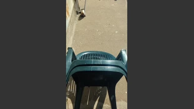 Hedagaricam 23-05-2026 Male Cap skinny Pretty horny yummy