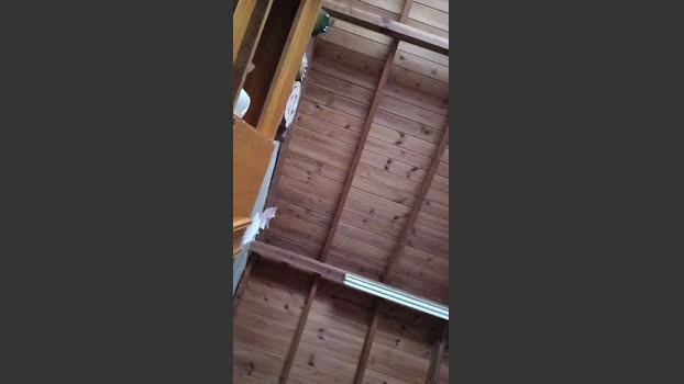 gabilopezxxx 23-05-2026 Male Cap juicy hot suck XXX