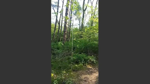 Slutddy55 25-05-2026 Male Cap Pretty fuckme fuck bigass