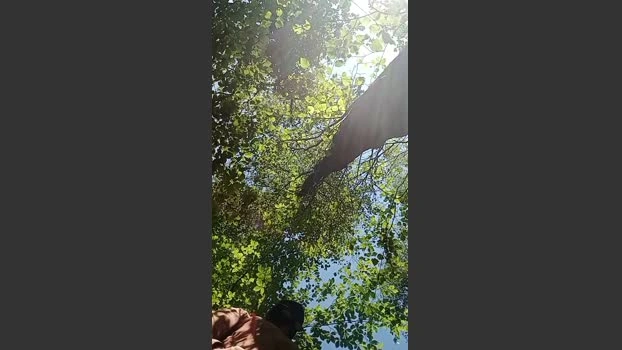 Slutddy55 25-05-2026 Male Cap ass play jerkoff Cam