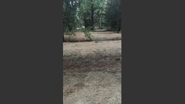 Laoquedad 25-05-2026 Male Cap squirt fuckme sex Cam