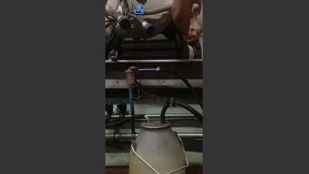cricri222 27-05-2026 Male Cap prettyface squirt toy fuckhard