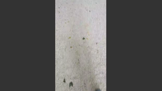 18cmdickforU 28-05-2026 Male Cap XXX hardcore lick love