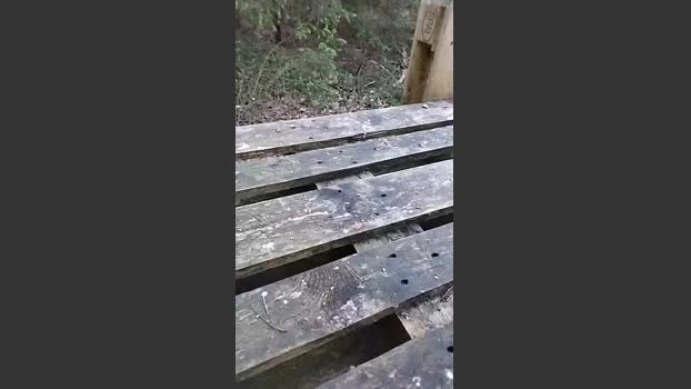 hygge1 31-05-2026 Male Cap striptease XXX Video Topless