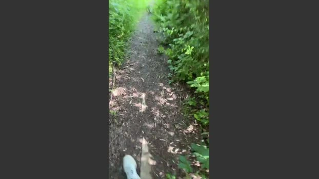 ArdennaisMarne