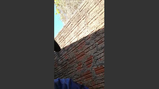 Nfsexy 02-06-2026 Male Cap suckshow horny squirt hard