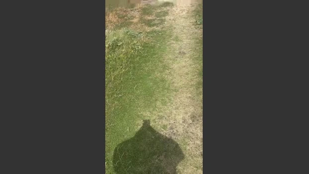 Muludu 10-06-2026 Male Cap Recorded analsex naughty suck