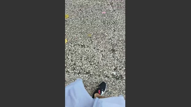 Sexylatinogay 15-06-2026 Male Cap lush oral big Recorded