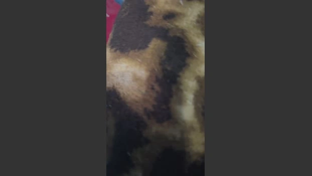 Xolitocrunch 17-06-2026 Male Cap kiss kinky sexykitty spanking
