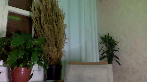 DanWolfMan 24-06-2026 Male Cap Video hardcock legs lush