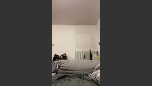 Turtle__cut