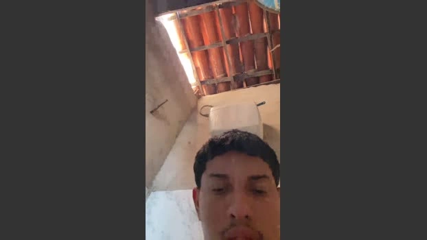 Abinsexo