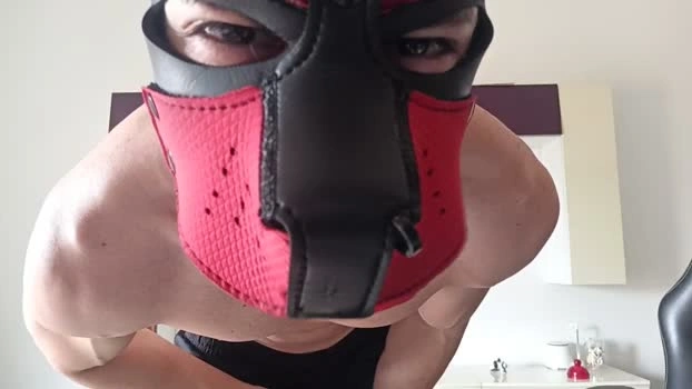 Frabroker 25-06-2026 Male Cap gag fuck strip lush