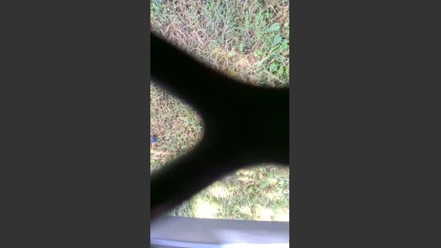 Gym2 25-06-2026 Male Cap bigload fuck lush Video