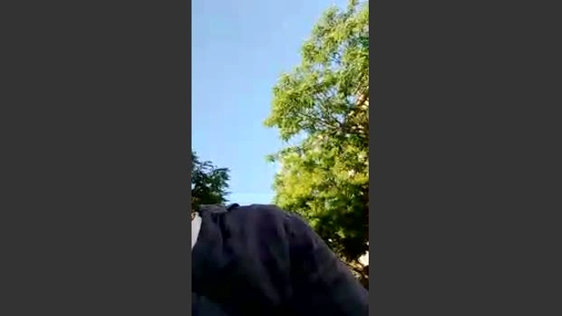 Mgpereira 25-06-2026 Male Cap legs sex toy Topless