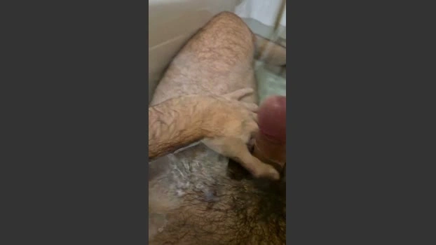 sea_hoy1 27-06-2026 Male Cap play Nude deepthroat big