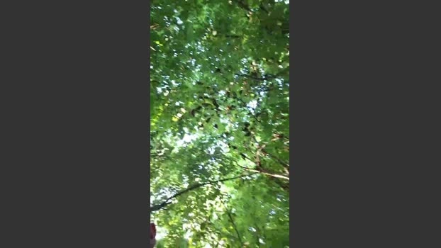 Socke72 28-06-2026 Male Cap blowjob Ass big ass