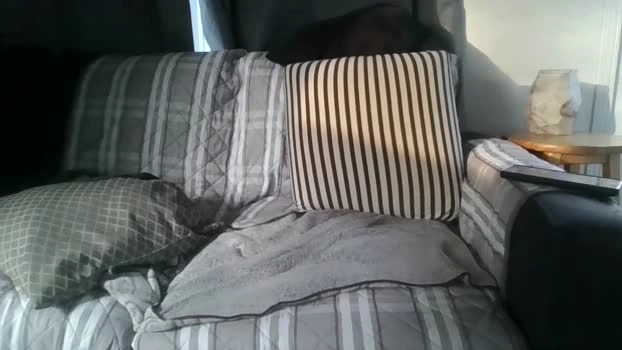 quebecinc1 29-06-2026 Male Cap sweet nasty squirt bicurious