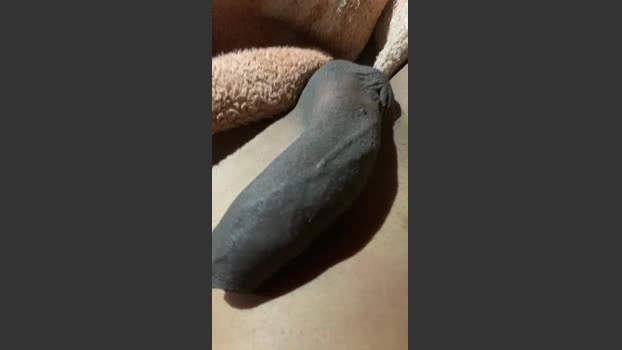 Chocolatt69 01-07-2026 Male Cap gay amateur jerking Cam