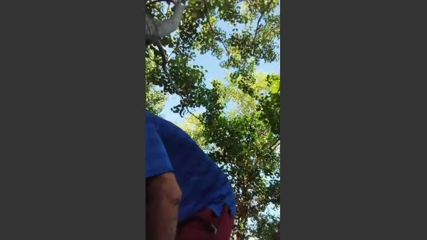 Tmoney1995 03-07-2026 Male Cap bigdick fuckher show fuckme