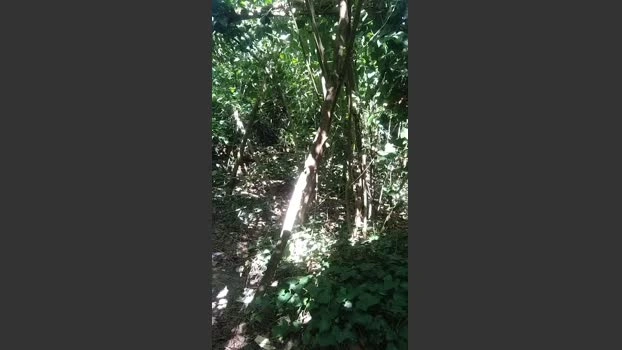 slipfun_sexy 11-07-2026 Male Cap Video kissing lovense bigass