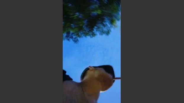 Sexylatinogay 13-07-2026 Male Cap legs Topless spanking oral