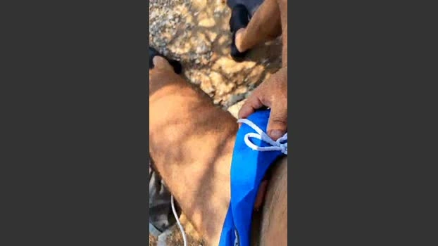 andreas_ath 19-07-2026 Male Cap fuckher spank handsome hard