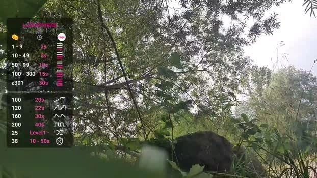 Pegyourdaddy 19-07-2026 Male Cap lovense harddick Webcam fingering