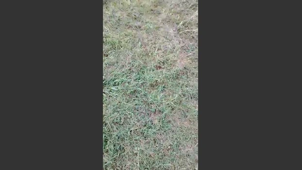 slipfun_sexy 19-07-2026 Male Cap kink orgasm jerkoff natural