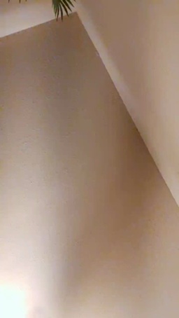 Alexjt104  24-10-2020