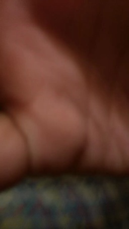 bicoponcam4  24-12-2020