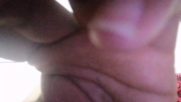 ethansteban3  11-11-2020