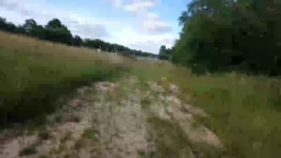 lepamplemous  03-07-2020