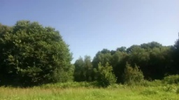 lepamplemous  06-07-2020