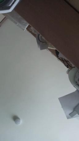 libido27  15-02-2021