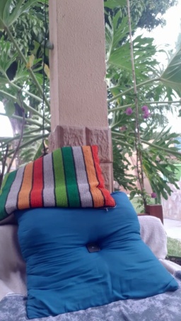 recoblue22cm  16-08-2020