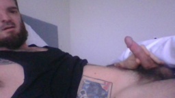 SegaioloNL  08-02-2021