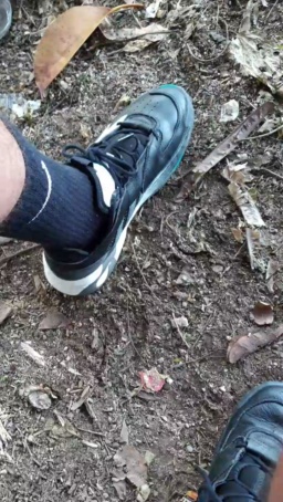 Synbaherrera  08-06-2020