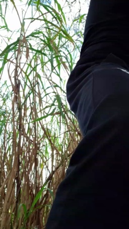 Synbaherrera  27-06-2020